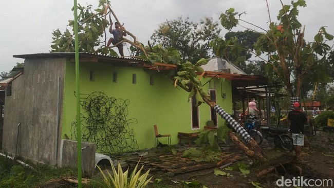 sebuah rumah tertimpa pohon tumbang.jpeg